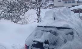 2つの桜前線