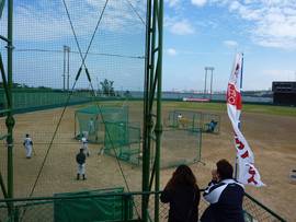 プロ野球戦線