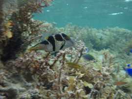 沖縄の秋の海
