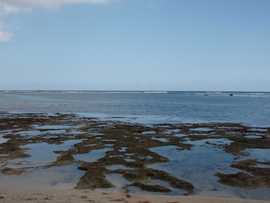 沖縄の秋の海