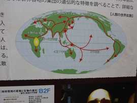 縄が結ぶもの
