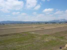 福島村の復興