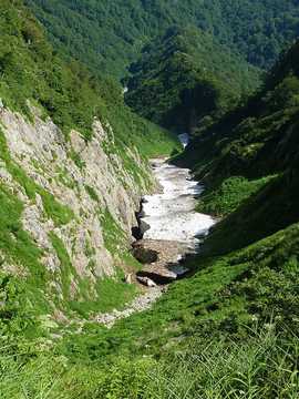 山の環境保全と整備