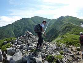 山の環境保全と整備