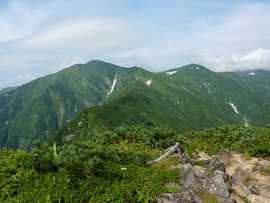 山の環境保全と整備