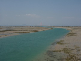 清明の海