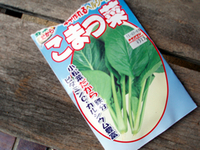 小松菜の種の袋