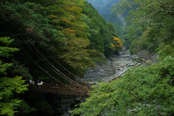 徳島県。