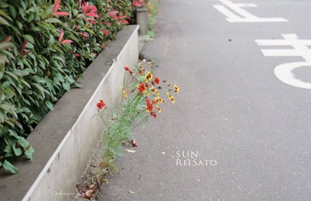SUN佐藤玲
