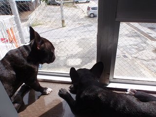 すげかった