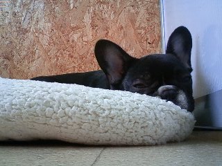 べつべつに