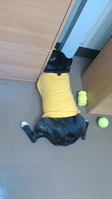 だ、だれか・・・
