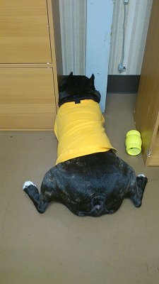だ、だれか・・・