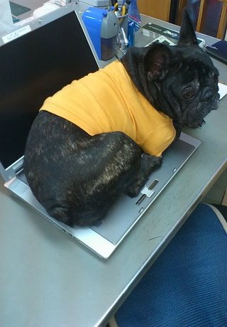 ぎょえぇぇぇぇぇぇぇぇぇ~~~~っ!!!