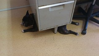 きょうのひるね