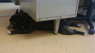 きょうのひるね