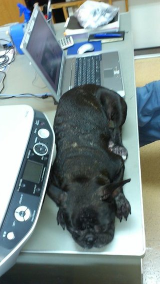 ここで・・・