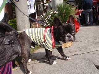 あけましてっ