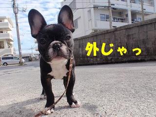 はじめての