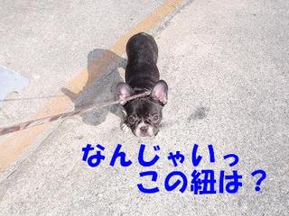 はじめての