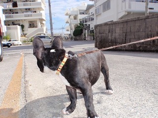 はじめての