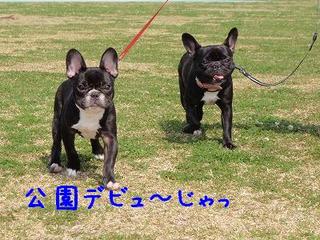 でびゅ~