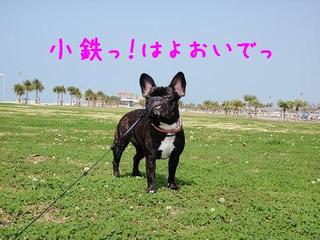 でびゅ~