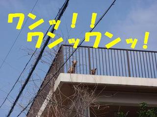 ゆ~た~ん