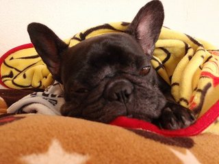 さむいひは・・・