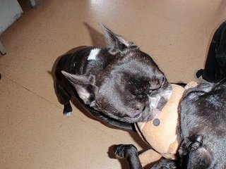 とったどぉ~