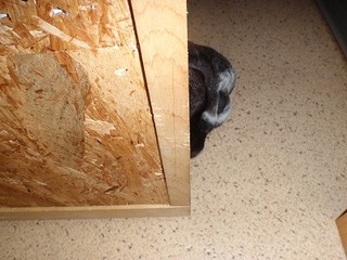 きょうは