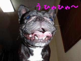 やばいで