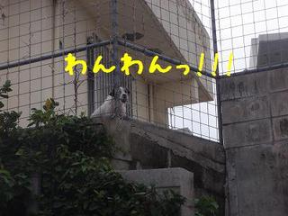 うちもっ