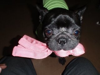 ちょっと、はやい