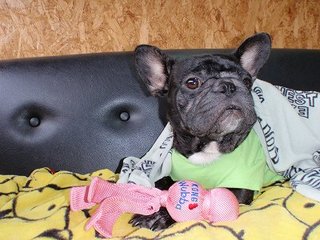 ちょっと、はやい