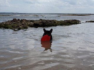 なりふりかまわず