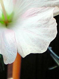 2010年10月21日