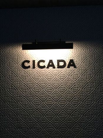 CICADA CICADA