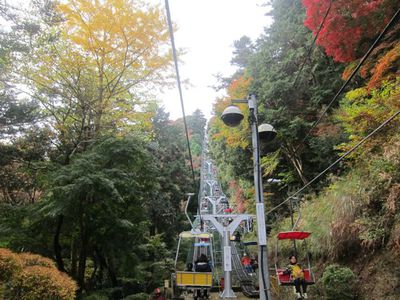 紅葉の高尾山 紅葉の高尾山