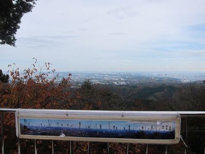 紅葉の高尾山 紅葉の高尾山