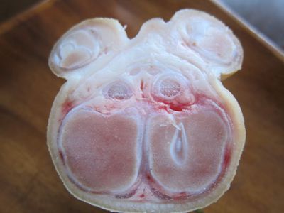 てびち