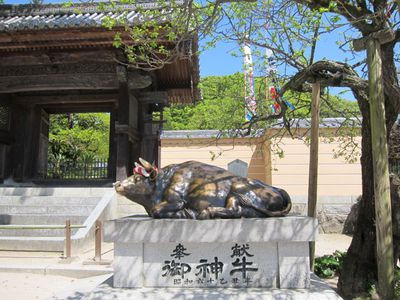 太宰府天満宮 太宰府天満宮