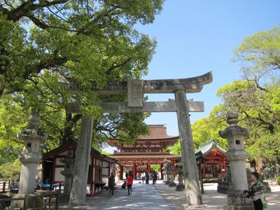 太宰府天満宮 太宰府天満宮