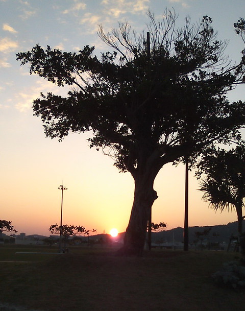 2014・1・2日没夕陽