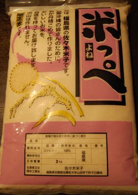 今話題の木の子^^