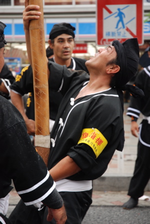 今年は頑張るよ〜