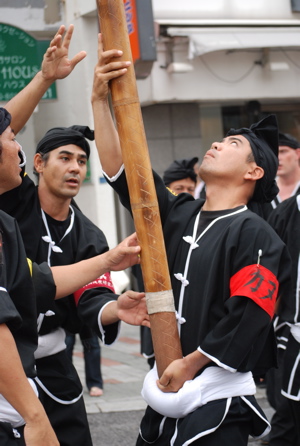 今年は頑張るよ〜