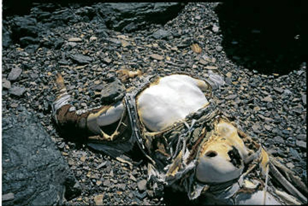 高度8000mエベレストに眠る亡骸とエピソード10枚