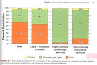 ダイエットに運動は必要なの?
