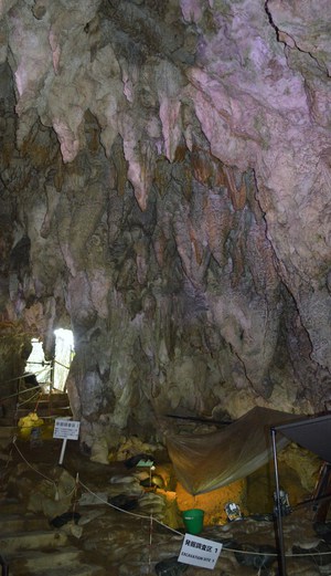 世界最古の釣針が出た！サキタリ洞